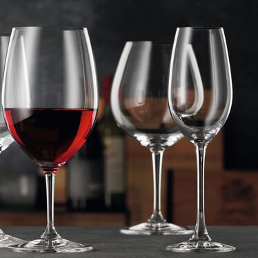 Nachtmann ViVino Champagne Glass Set of 4